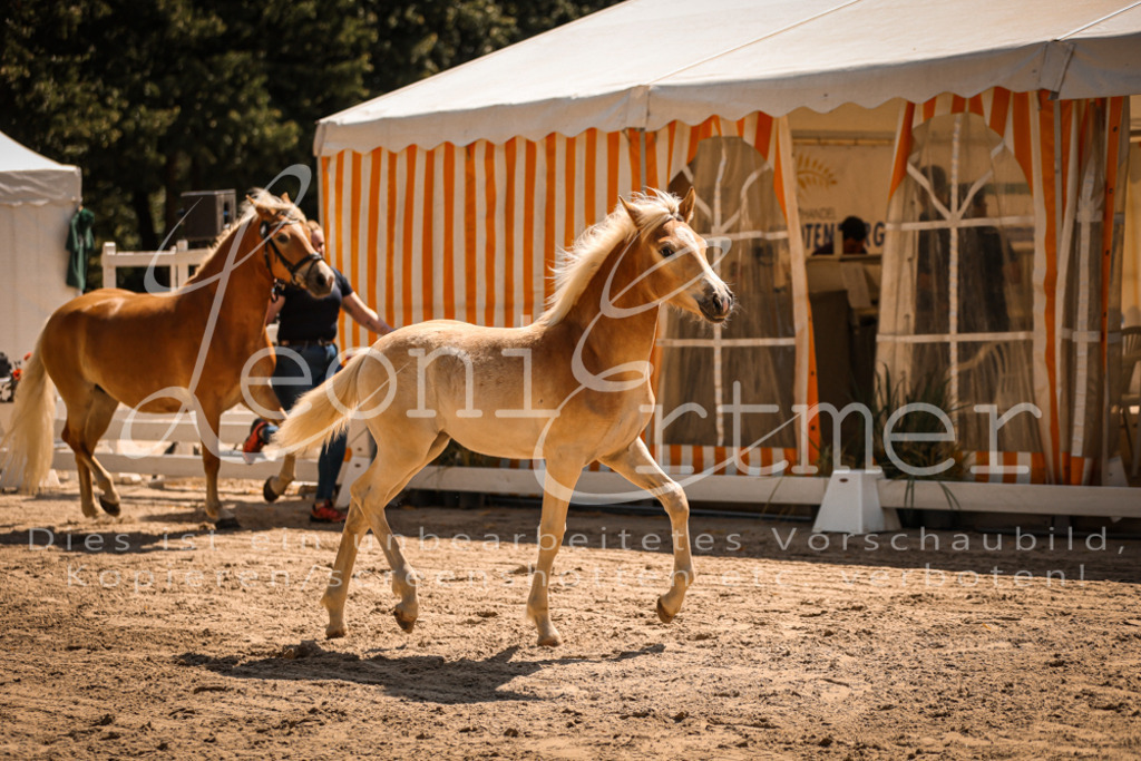 06.DoH00037 | Leoni Ertmer Photography - Realisiert mit Pictrs.com