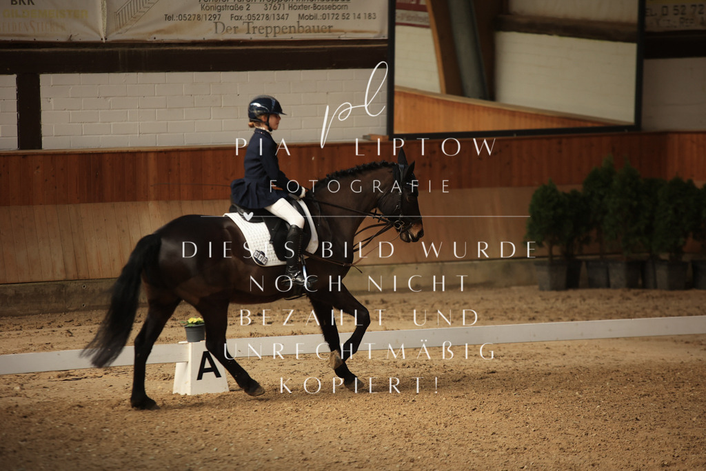 IMGT5568 | pl-fotografie