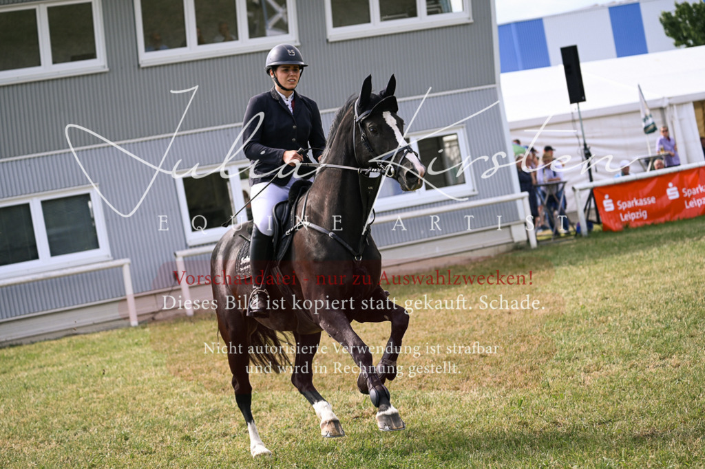 DSC_0828 | Pferde- und Turnierfotografie in Westsachsen. Pferdeportraits, Auftragszeichnungen und intuitive Kunst.
