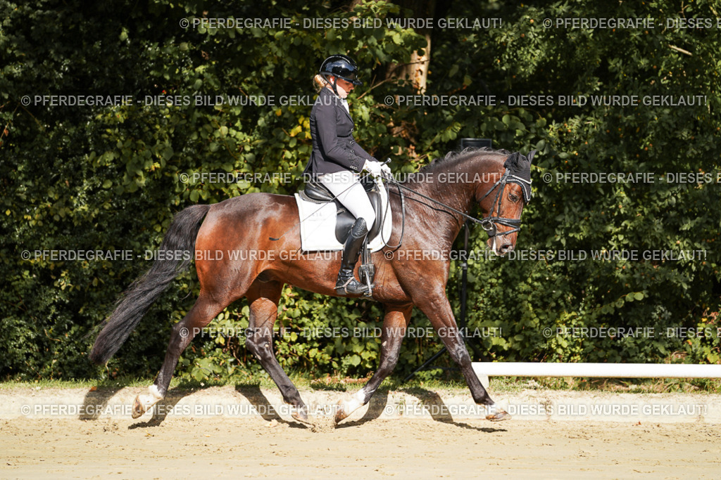 DSC07735 | Pferdegrafie