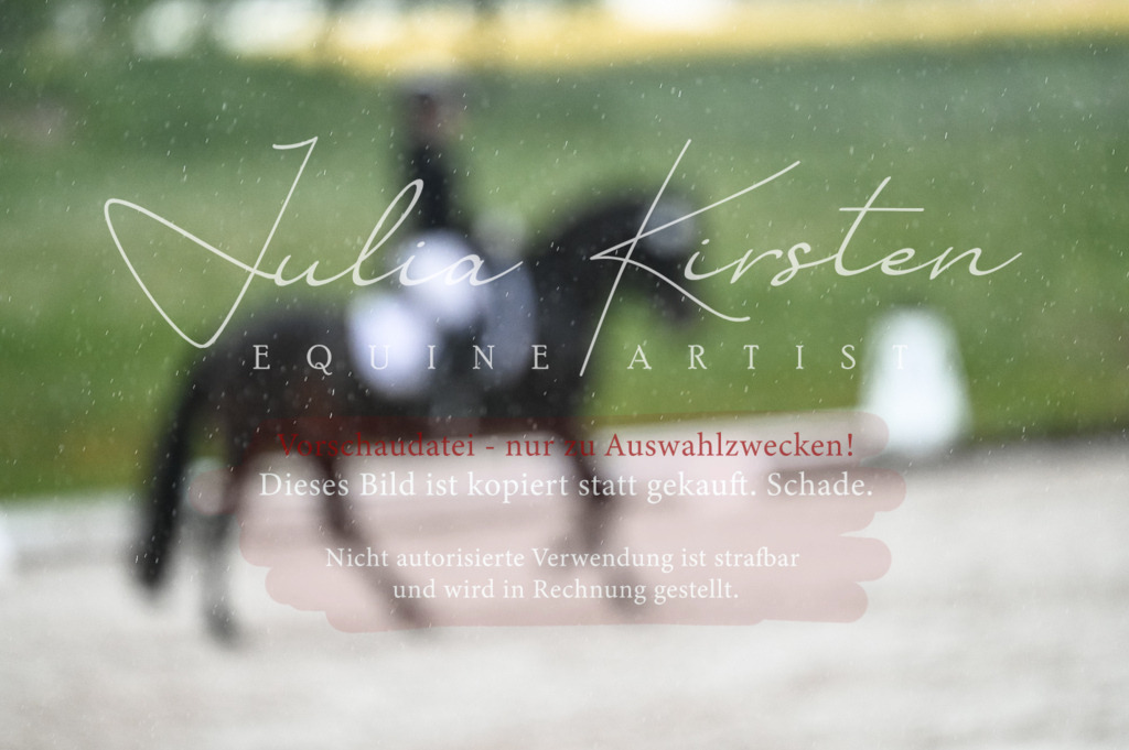 DSC_4666 | Pferde- und Turnierfotografie in Westsachsen. Pferdeportraits, Auftragszeichnungen und intuitive Kunst.