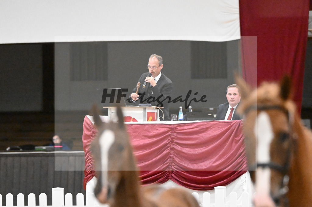 Fohlenauktion Next Chance_49220516 | hf-fotografie - Realisiert mit Pictrs.com