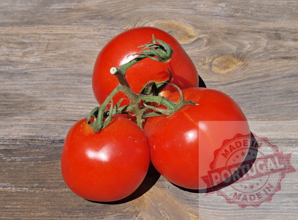 Fresh red tomatoes on vine on rustic wood | Ripe red tomatoes with green stems resting on an old wooden surface - Realized with Pictrs.com