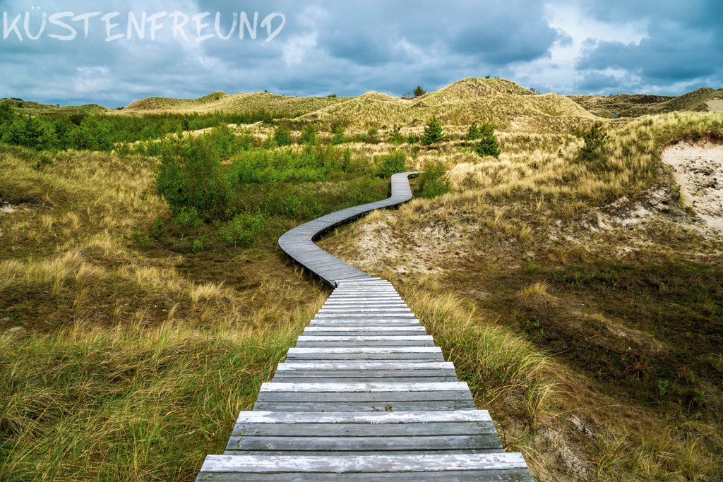 Nordsee Bilder Amrum Dünen | Entdecke deine Lieblingslandschaft von der Küste – auf Ostsee Leinwand, Nordsee Leinwand, Alu Dibond oder Acrylglas, passend für jeden Geschmack und Raum.