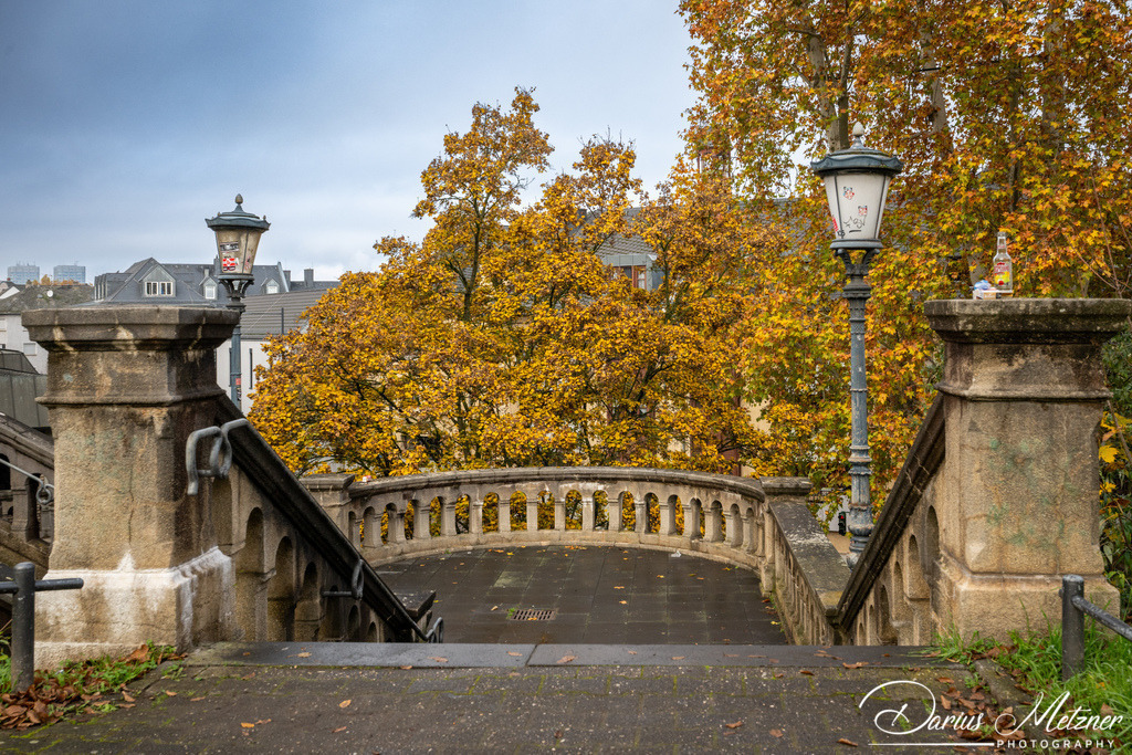 DSC_4327 | Fotografien, Fotos und Bilder aus Mainz, Frankfurt, Wiesbaden und anderen Orten auf der Welt - Fotografiert von Darius Metzner