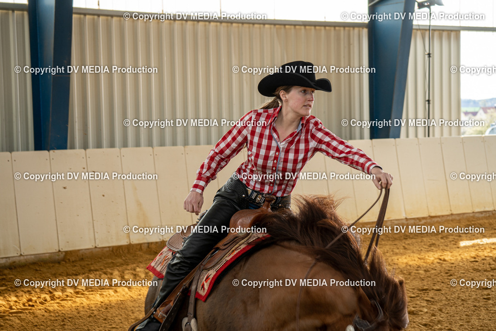 MIT01034 | dv-media-shop - Realisiert mit Pictrs.com