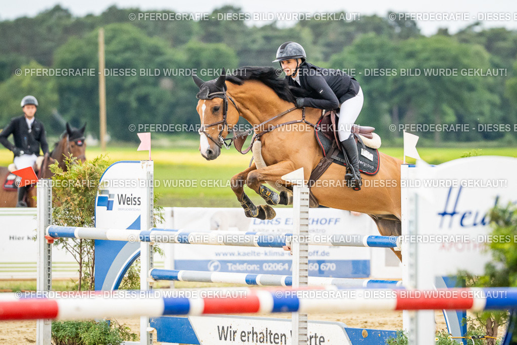 DSC06963 | Pferdegrafie