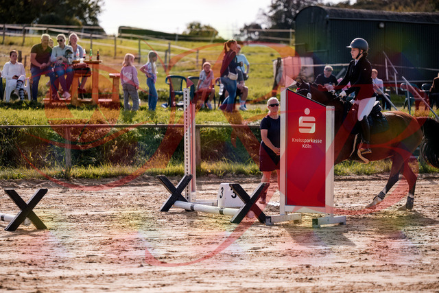 2026_10_03_Siefer-Hof_145705_Z81_38335910 | Professionelle Reitsport-, Turnier- und Eventfotografie von Robert Broda. Galerien mit ausgewählten und bearbeiteten Bildern direkt online ansehen und bestellen.