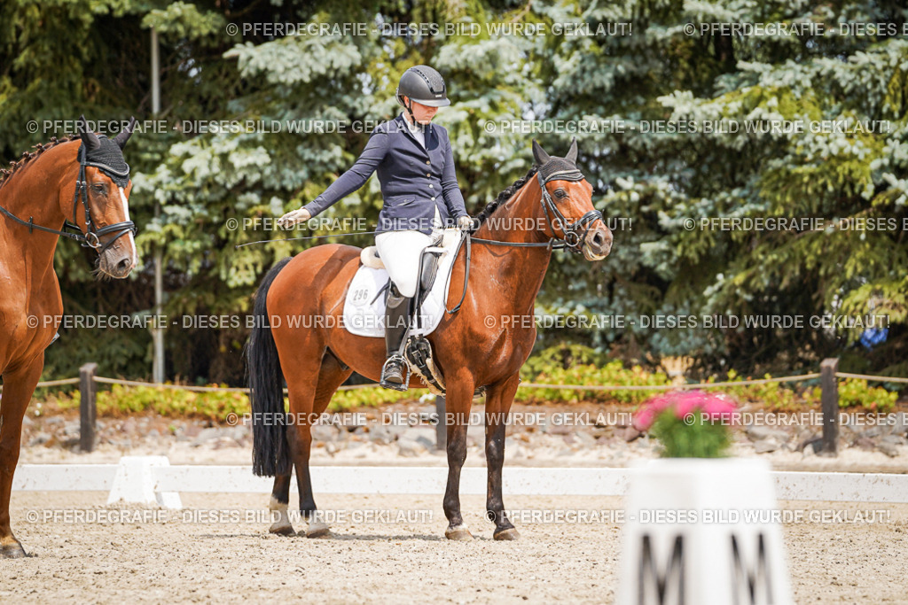 DSC03758 | Pferdegrafie