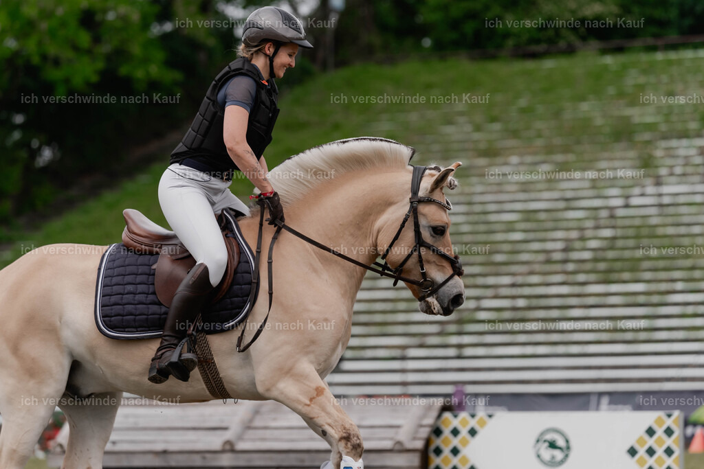 Showprogramm-381 | working equitationturnier fotograf videograf stoibphotography marixx film working equitation deutschland reitsport turnierfotografie eventfotografie equestrian events