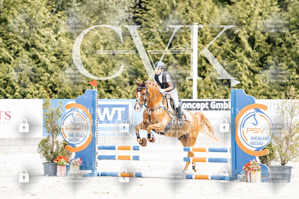 CK906300 | Turnierfotografie Pferdefotografie Trier Rheinland-Pfalz Pferdesport Reitsport Tierfotografie Sportfotografie Pferdevideo Pferdevideografie Equestrianvideography equestrianphotography  - Realisiert mit Pictrs.com