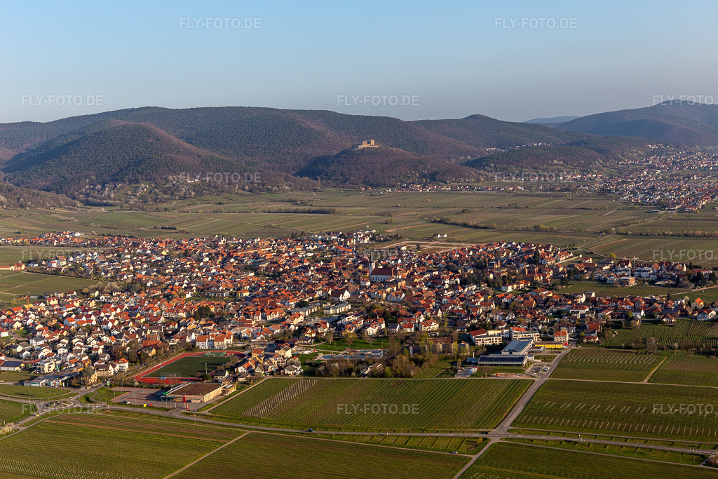 Luftbild: der vom Haardtrand des Pfälzerwalds umgebenen Rheinebene in Edenkoben im Ortsteil Alsterweiler in Maikammer im Bundesland Rheinland-Pfalz in Deutschland. Foto: IMG_126356.jpg vom 04.04.2021 durch Werner Riehm/FLY-FOTO.de
