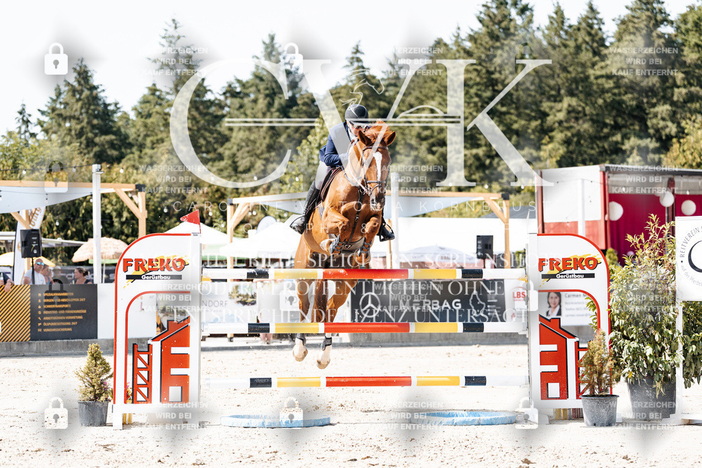 CK905349 | Turnierfotografie Pferdefotografie Trier Rheinland-Pfalz Pferdesport Reitsport Tierfotografie Sportfotografie Pferdevideo Pferdevideografie Equestrianvideography equestrianphotography  - Realisiert mit Pictrs.com