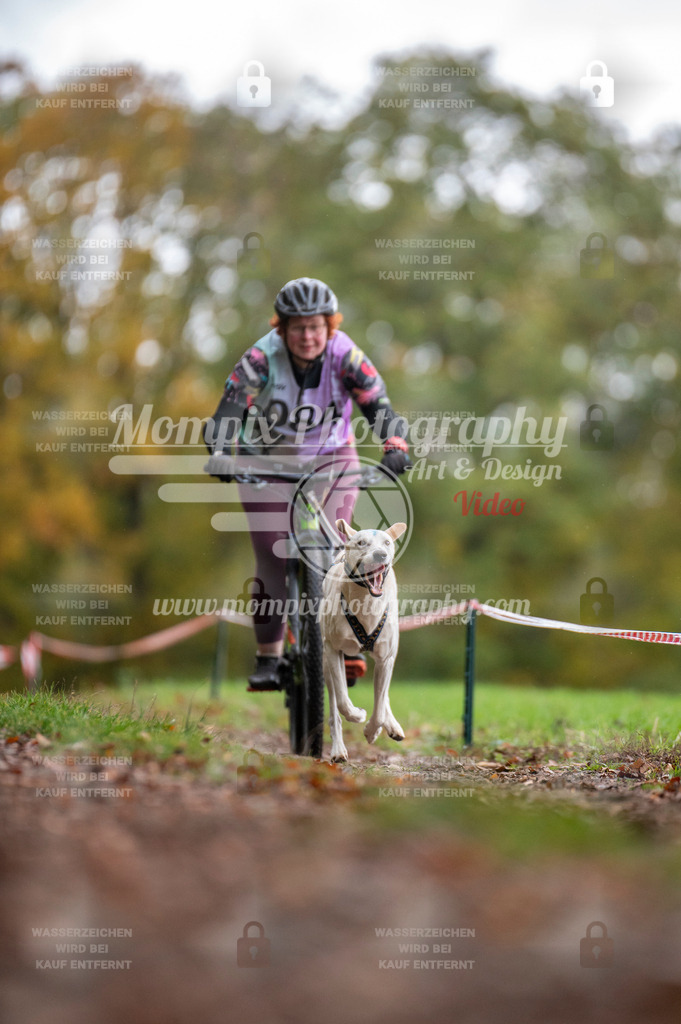 DBT_DAKM_SA_4_11_2023_Bike-89 | PayLife