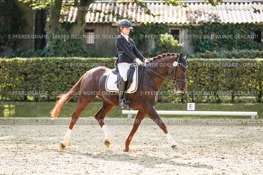 DSC08133 | Pferdegrafie