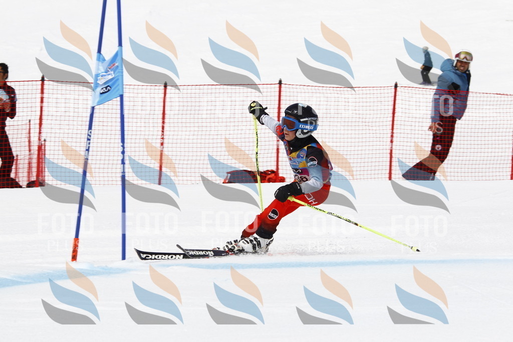 _U3G6065 | holidayphoto