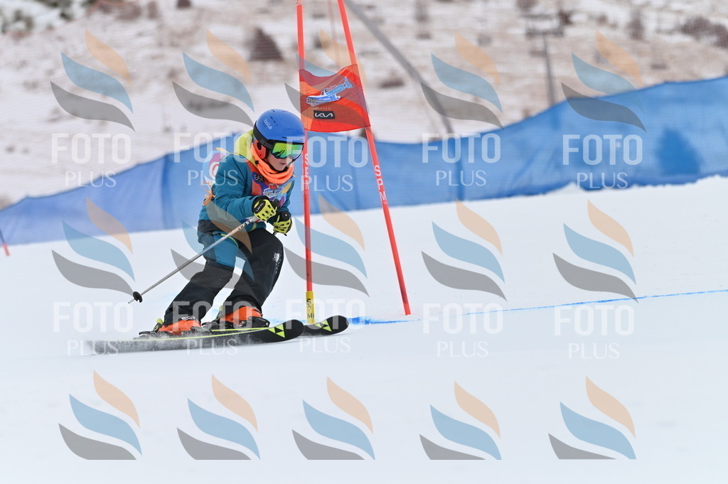 BGV_2407 | holidayphoto