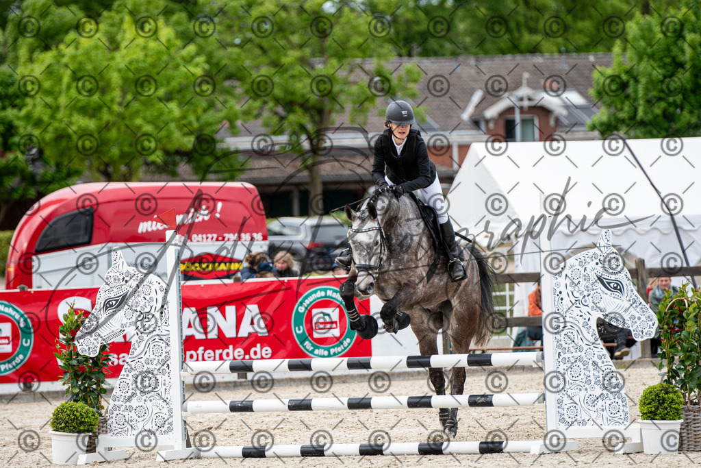 KPT_7276 | andre_photographic