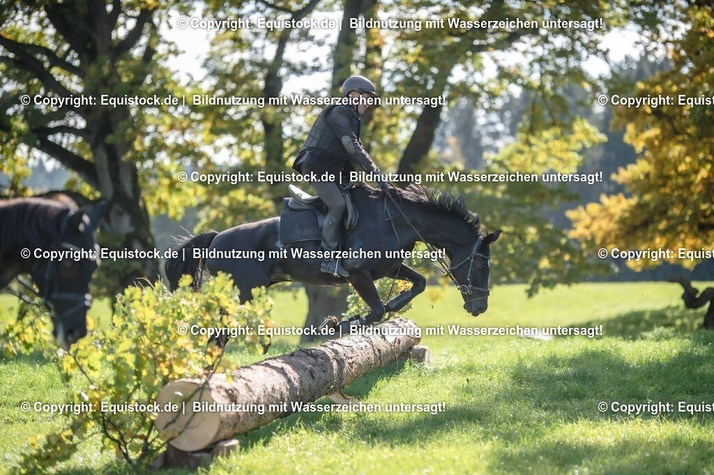 20251011_Jagd-Marbach_0431 | Foto: Thomas Hartig