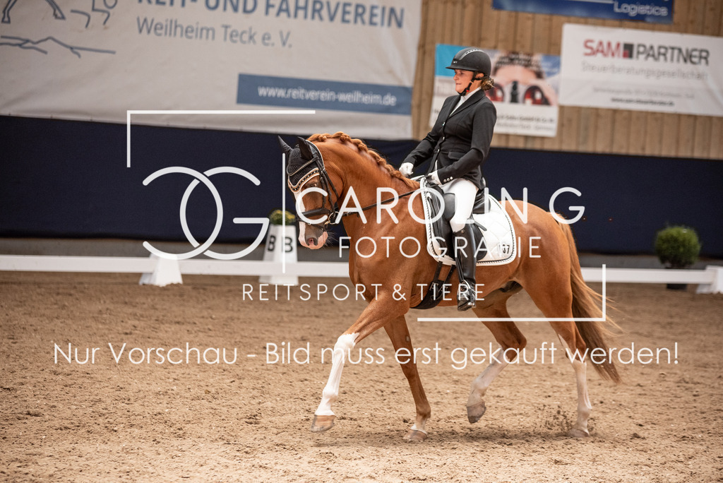 DSC_0627 | Turnierfotografin Carolin Gieschke, Turnierfotografie Carolin G Fotografie, Turnierfotos Kirchheim/Teck, Esslingen, Stuttgart, Bodenseekreis