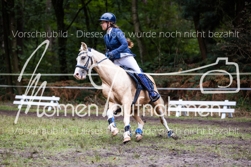 HB-JaD-009 | MomenTaufnahmen Pferdesportfotos