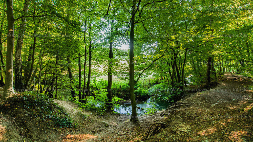 Harsefeld Steinbecktal_ELS_0754060922a | Fotos aus den Touristenorten aus Norddeutschland. - Realisiert mit Pictrs.com