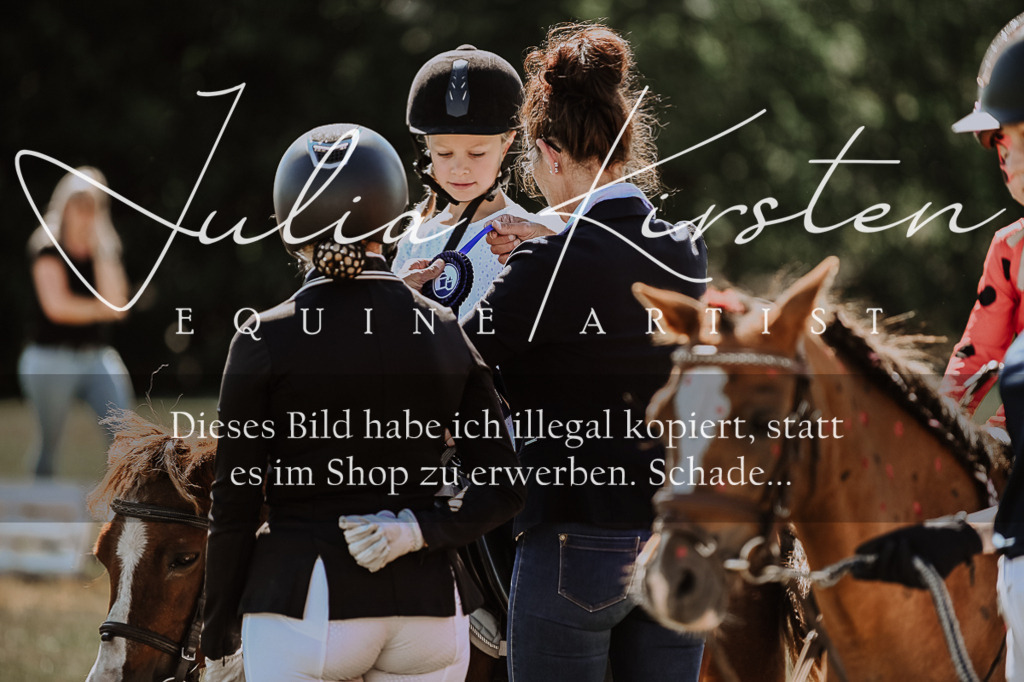 DSC_8953 | Pferde- und Turnierfotografie in Westsachsen. Pferdeportraits, Auftragszeichnungen und intuitive Kunst.