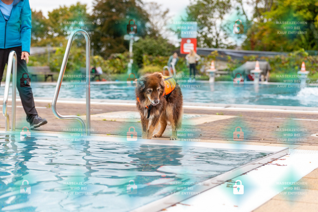 _HP_6047_1000o | HetPix, HetPix Fotodesign, Fotografie, Fotodesign, Webshop, Sportfotografie, Portraitfotografie, Onlineshop, Sportfotografie, Polch, Motorsportfotografie, Eventfotografie