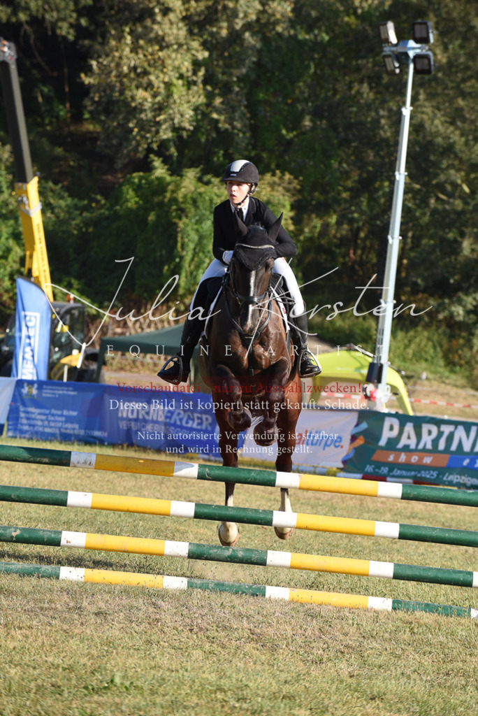 DSC_5023 | Pferde- und Turnierfotografie in Westsachsen. Pferdeportraits, Auftragszeichnungen und intuitive Kunst.