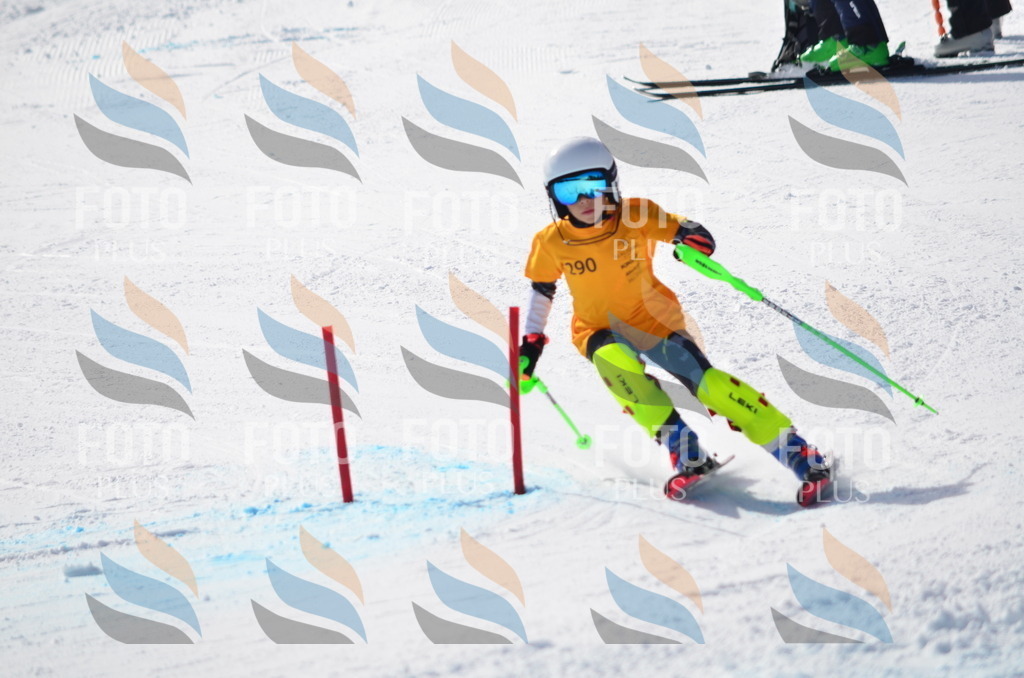 C8692 | holidayphoto