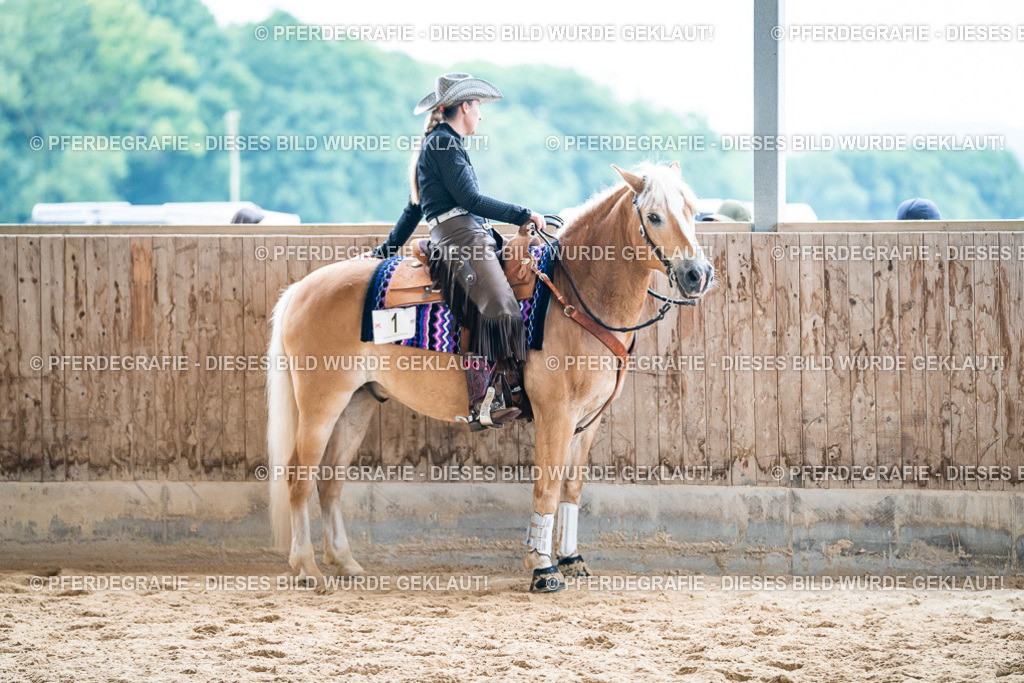 DSC07551 | Pferdegrafie