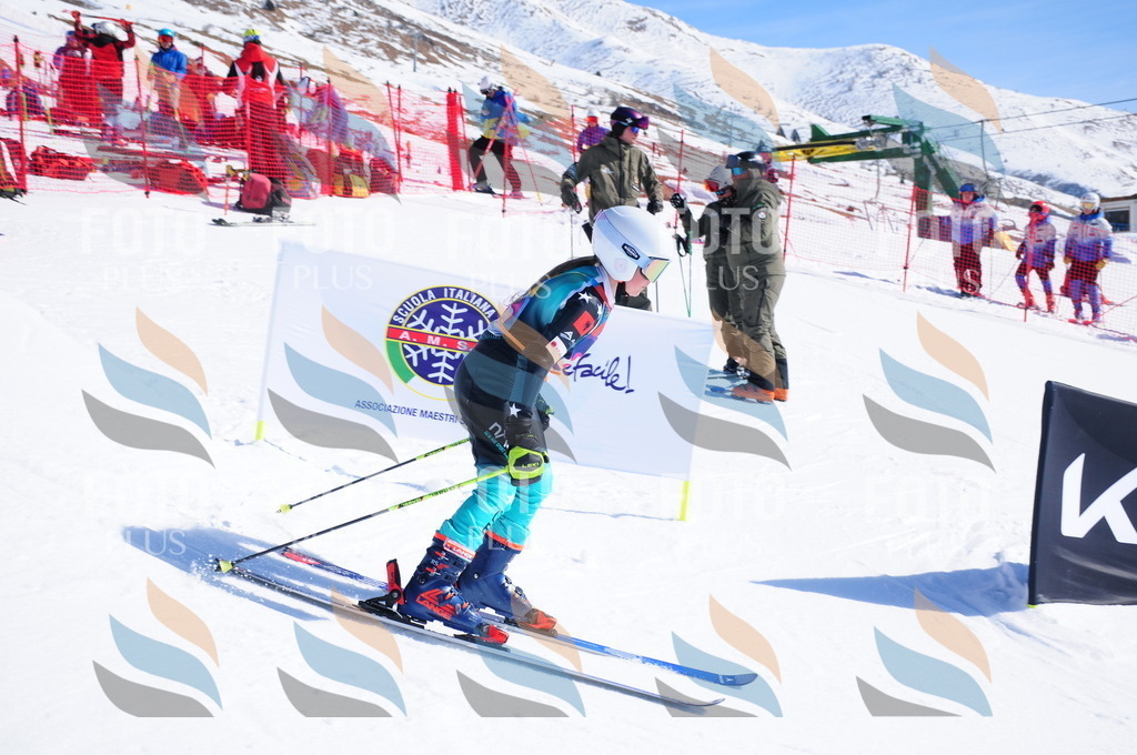 DSC_3920 | holidayphoto