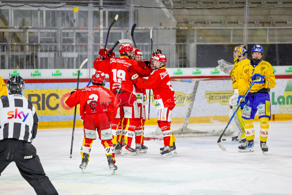 EHCB vs HCD-0331 | Sportbilder, Sportfotograf, Hochzeits- und Eventfotografin, Flugshows, Portraits und Tiershooting, Aviation, Downhill, Nationalleague, Swissleague, International