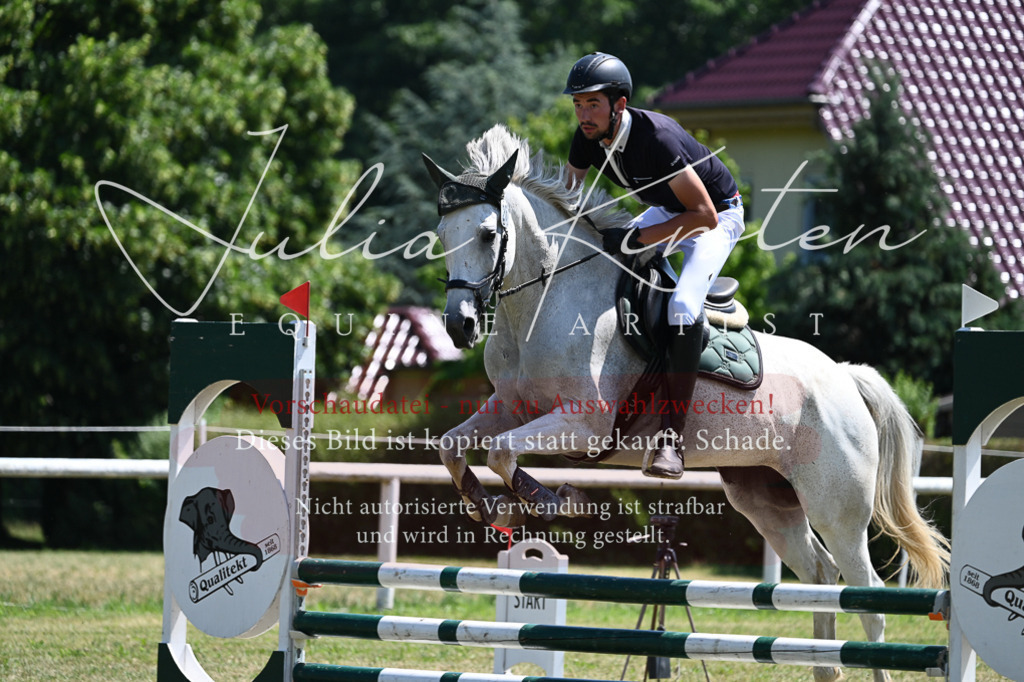 DSC_0681 | Pferde- und Turnierfotografie in Westsachsen. Pferdeportraits, Auftragszeichnungen und intuitive Kunst.