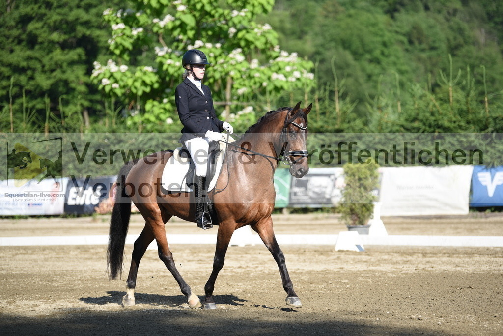 DSC_7131 | equestrian-live-com