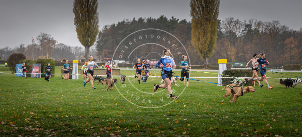 CaniXpix_DV3A8843 | Hundefotografie, Tierfotograf, Pfotenfotografie, Fotoshooting Hund, Hunde Portrait, Hundesport, Hundeportraits, Heideshooting, Hunde, Sportfotograf, Hundefotograf, Turnierhundsport, THS,  - Realisiert mit Pictrs.com