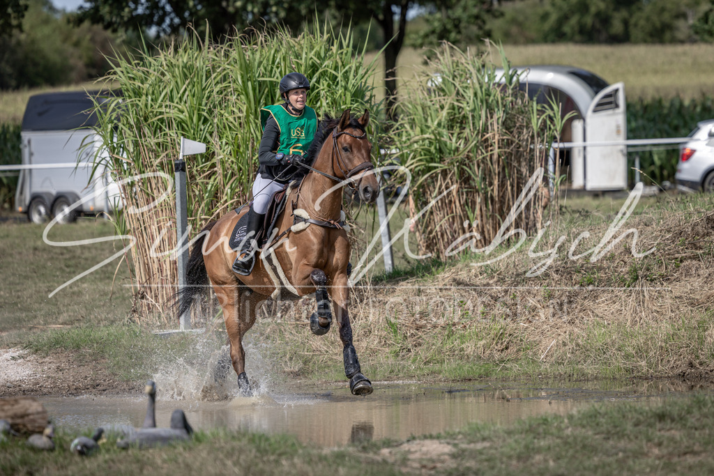 20250907-_3LI0891 | Tierfotografie Pferde, Hunde, Katzen, Haustiere.
Turnierfotografie Reitturniere, Reiten, Springreiten, Dressur in Hanau, dem Main-Kinzig-Kreis und dem Rhein-Main- Gebiet um Frankfurt