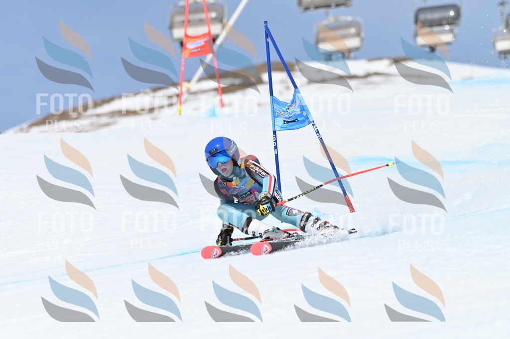 BGV_2220 | holidayphoto