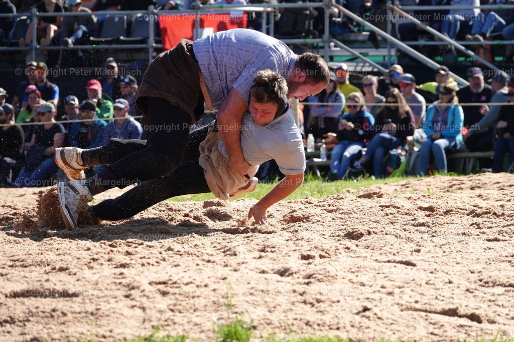 DSC00894 | Schwingen - Realisiert mit Pictrs.com