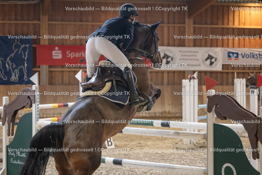 _D5A9506 | Emotionale Pferde- & People-Fotografie rund um Heidelberg, Leimen & Umgebung. Natürliche Fotos von Pferd, Mensch & Familie. Jetzt Termin sichern!