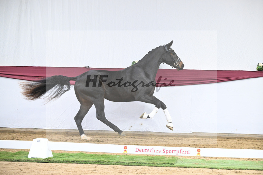 Kat-Nr. 31 In My Mind x Fidertanz_Uwe Kraft_47251067 | hf-fotografie - Realisiert mit Pictrs.com