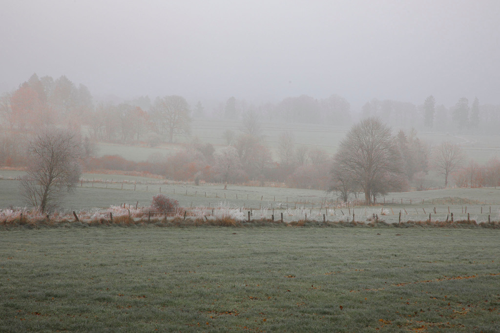 Raureif_Weisten_101222_17 | Bildergalerie von Sport-Ereignissen aber auch von weiteren spannenden Dingen - nicht nur vom Niederrhein. In Anlehnung an den bekannten Spruch von Hanns Dieter Hüsch heißt das Motto: "Niederrhein ist überall".  - Realisiert mit Pictrs.com