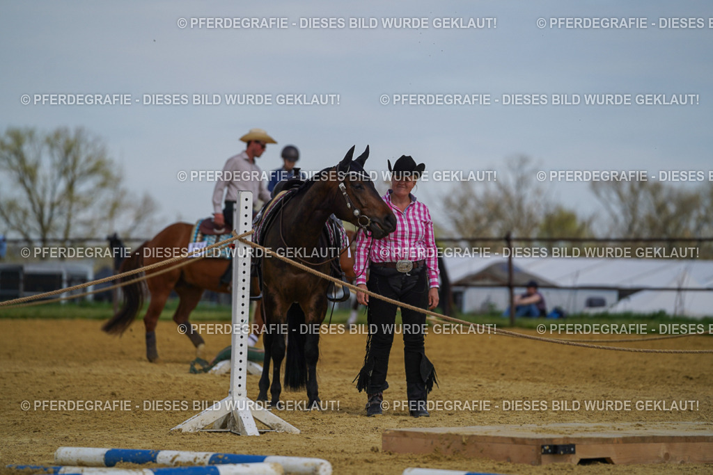 DSC05252 | Pferdegrafie