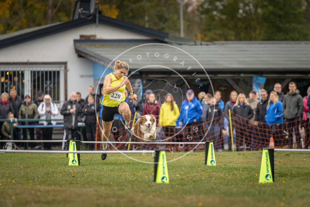 Pfotenfotografie_DV3A3035 | Hundefotografie, Tierfotograf, Pfotenfotografie, Fotoshooting Hund, Hunde Portrait, Hundesport, Hundeportraits, Heideshooting, Hunde, Sportfotograf, Hundefotograf, Turnierhundsport, THS,  - Realisiert mit Pictrs.com
