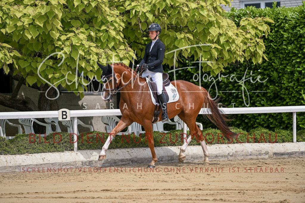 Schugtsche-Aluta25-48.Reitpferfdeprf.-114 | Schugtsche Fotografie - Realisiert mit Pictrs.com