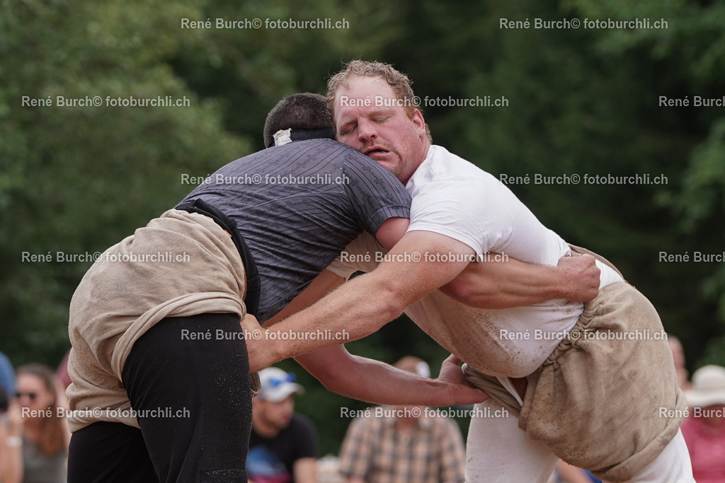 DSC00313-2 | René Burch leidenschaftlicher Fotograf aus Kerns in Obwalden.  Hier finden sie Sport, Landschaft und Natur Fotografie.
 - Realisiert mit Pictrs.com