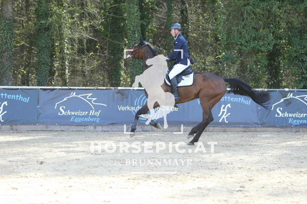 DL2Q0685 | Willkommen bei Brunnmayr - Design & Fotografie – Ihrem Spezialisten für Reitturniere und Pferdeveranstaltungen in Oberösterreich, Salzburg und Bayern! Seit über 17 Jahren sind wir leidenschaftlich dabei.