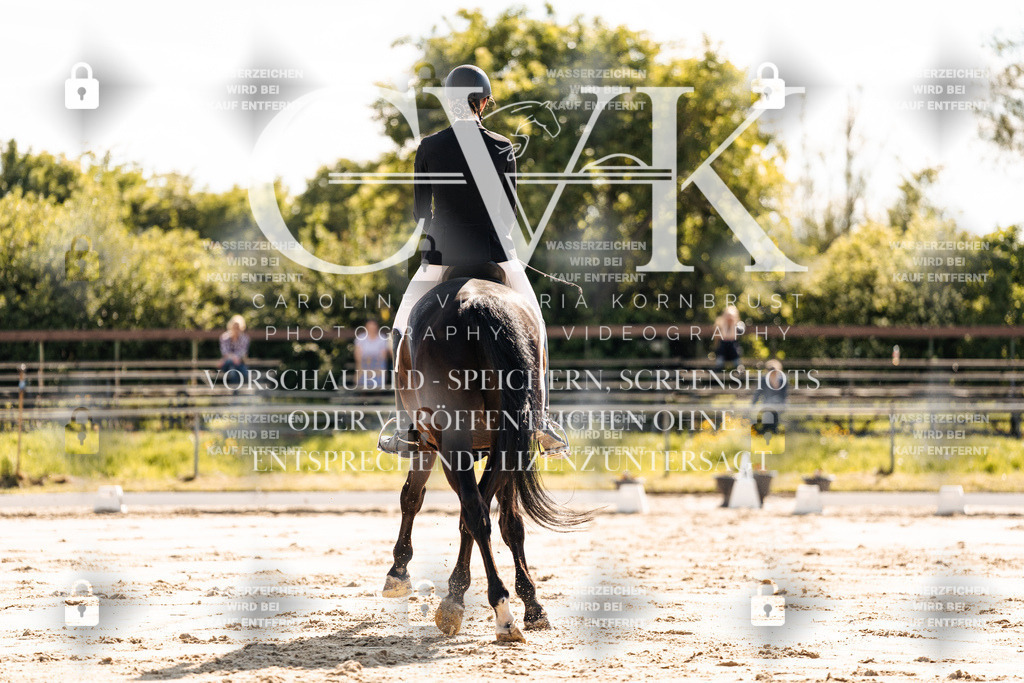 CK909236 | Turnierfotografie Pferdefotografie Trier Rheinland-Pfalz Pferdesport Reitsport Tierfotografie Sportfotografie Pferdevideo Pferdevideografie Equestrianvideography equestrianphotography  - Realisiert mit Pictrs.com