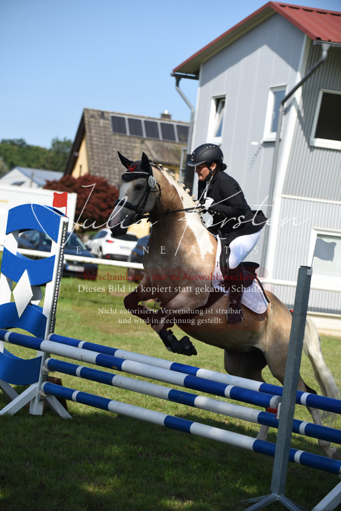 DSC_9085 | Pferde- und Turnierfotografie in Westsachsen. Pferdeportraits, Auftragszeichnungen und intuitive Kunst.