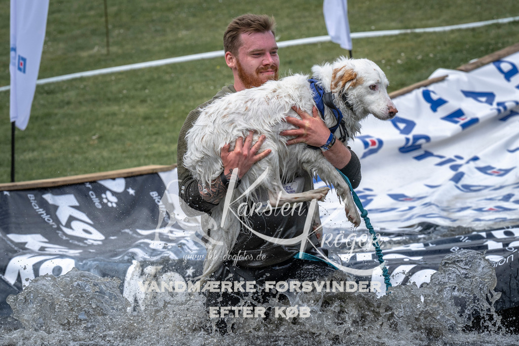 1131_ZZ92738 | kk-dogfotos